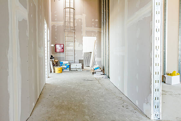 Biohazard Mold Removal in Walker, LA
