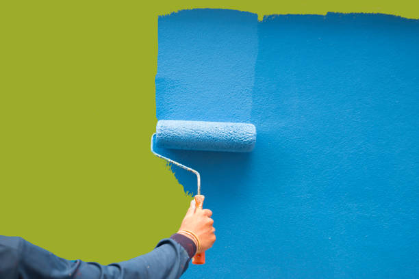 Mold Removal for HVAC Installations in Walker, LA